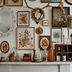 there are many framed pictures on the wall with deer heads and antlers above them