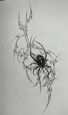 a black and white drawing of a spider