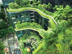 an aerial view of a building with green vegetation growing on it