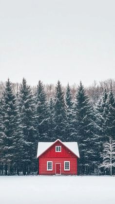 a red barn in the middle of a snowy field with trees behind it and snow on the ground