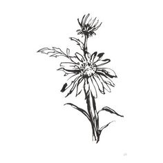 a black and white drawing of a flower