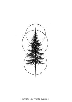 a black and white drawing of a pine tree in three circles with the words interfagan control, banishs