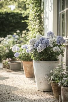 Cottage Garden Borders, Cozy Garden, Garden Paradise