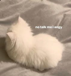 a small white cat laying on top of a bed next to a quote that reads, no talk me i angry