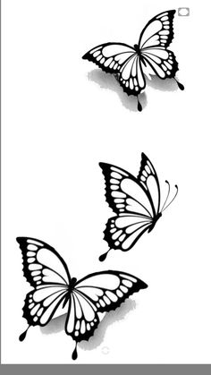 two butterflies flying side by side