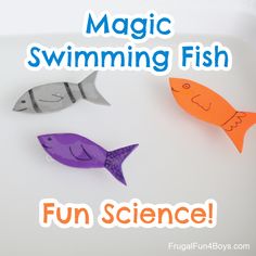 three paper fish on a white surface with the words magic swimming fish fun science written below