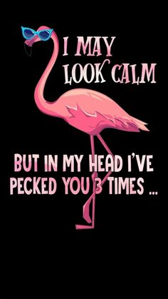 a pink flamingo with sunglasses on it's head and the words, i may look calm but in my head i've pecked you times