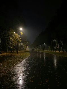 an empty street at night with the lights on and trees in the foreground lit up