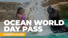 two children are playing in the water at an ocean world day pass