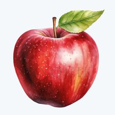 an apple with a green leaf on the top and red, shiny skin is shown in this watercolor painting