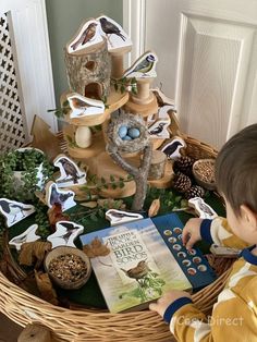 a young boy reading a book in front of a bird nest