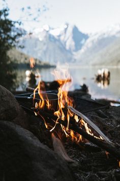 With kings of Leon playing in the background - Camping - #acampar #Acamparpareja #background #Camping #Campingacampar #Campingaccesorios #Campingquellevar #kings #Leon #playing Camping Photography, Camping Aesthetic, Camping Life, Foodie Travel, Go Camping, Camping Hacks, Nature Travel, Outdoor Adventure, Camping Trips