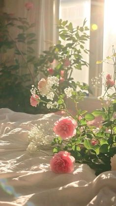 some pink and white flowers on a bed in front of a window with the sun shining through