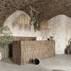 a room that has some plants hanging from the ceiling