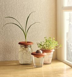 three pots with plants in them sitting on a table