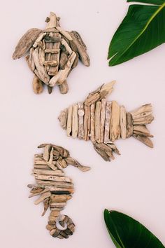 three pieces of driftwood next to green leaves