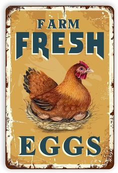 a metal sign with an image of a chicken on it's nest and the words farm fresh eggs