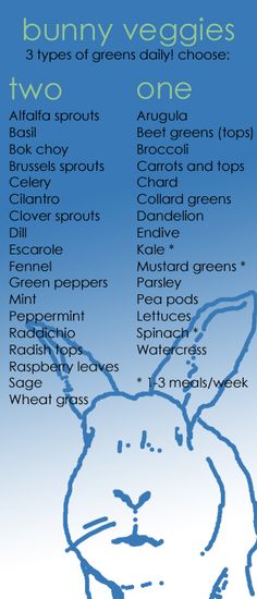 the bunny veggies list is shown in blue