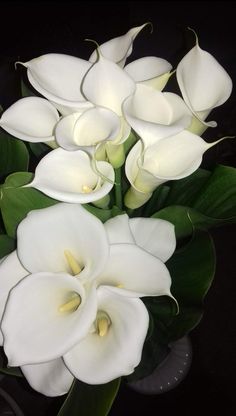 a bouquet of white flowers with green leaves