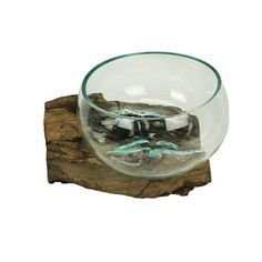 a glass bowl sitting on top of a piece of wood with rocks in it and water inside