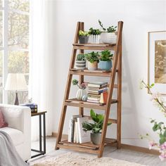 a living room with a ladder shelf filled with potted plants