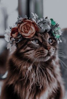 a cat with a flower crown on its head