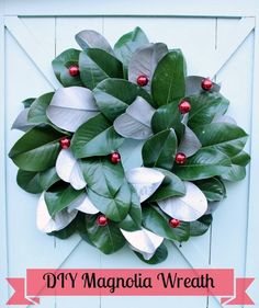 a wreath made out of green leaves and red berries is hanging on the front door