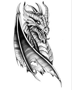 a black and white drawing of a dragon