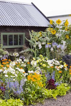 a garden filled with lots of flowers next to a wooden building on the side of a road