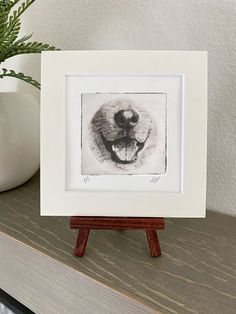 a black and white photo of a dog's face on a wooden stand next to a potted plant