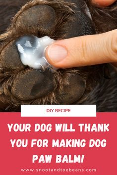 a dog's paw with the words, your dog will thank you for making dog paw