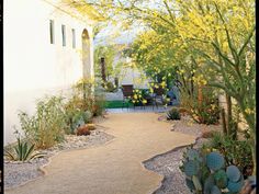 a pathway leading to a house with cactus and trees in the front yard, along with yellow flowers