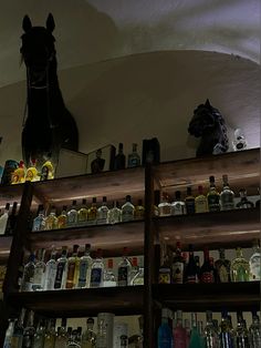 the shelves are full of liquor bottles and horses head heads on top of each shelf