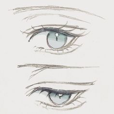 two different types of eyes are shown in this drawing