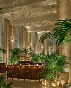 the bar is surrounded by potted plants and candles