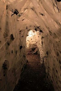 the tunnel is covered with white netting and leaves