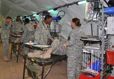 some soldiers are doing something in a tent