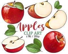 an apple clip art set with apples and leaves on the top, below it's name