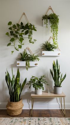 some plants are hanging up on the wall