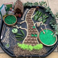 a tray with some plants and other things on it that are made to look like a tree