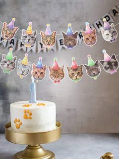 a birthday cake with many cats on it and one has a candle in the middle