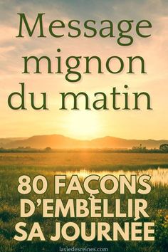 a book cover with the sun setting in the background and text that reads,'80 facons d'embellir