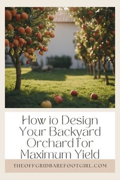 an apple orchard with the words how to design, your backyard orchard for maximum yield