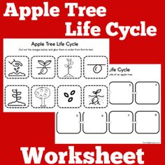 an apple tree life cycle worksheet for kids to learn how to use it