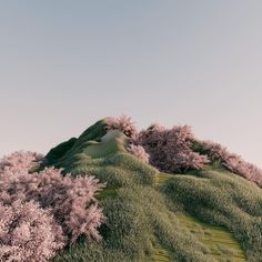 an artistic view of pink flowers growing on the side of a hill