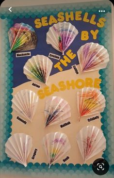 seashells by the seashore are arranged on a bulletin board with words and pictures