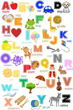 an alphabet poster with animals and letters