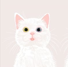 a close up of a cat with big eyes on a pink background by corbi