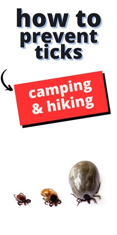 an advertisement for camping and hiking with ticks