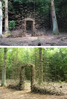 two different views of trees in the woods and one is made out of branches that have been